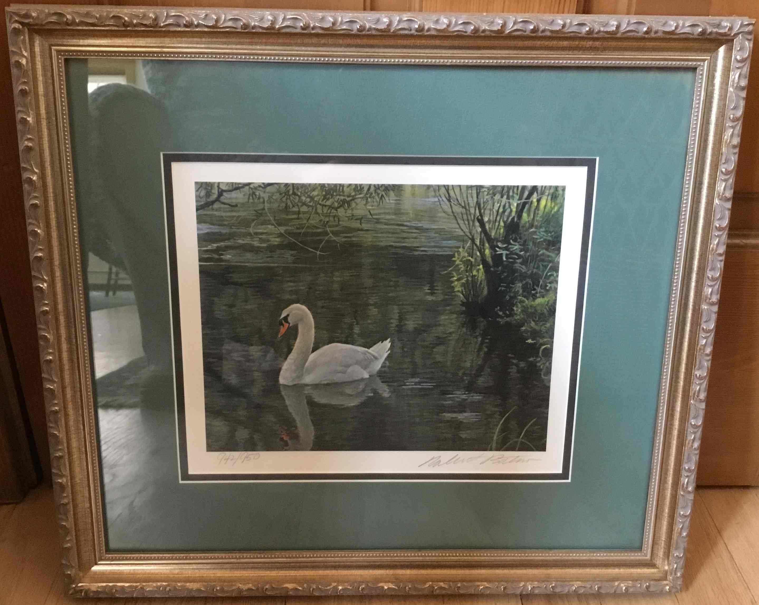 Signed Limited Edition (942/950) Swan Print – Framed Wildlife Art by Robert Bateman Image