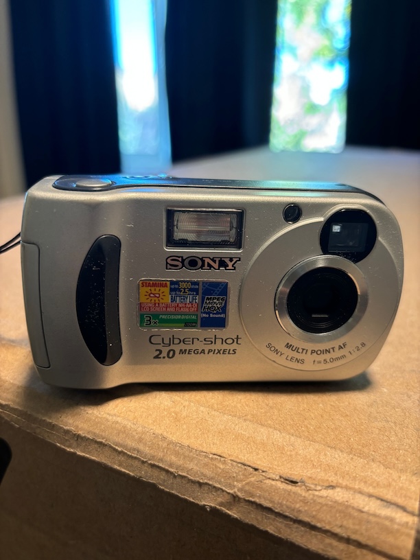 Sony Cyber-shot DSC-P31 Digital Camera Image